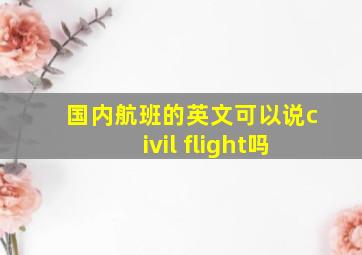 国内航班的英文可以说civil flight吗